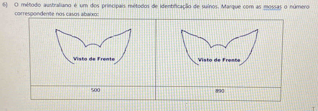 método australiano é um dos principais métodos de identificação de suínos. Marque com as mossas o número 
correspondente nos casos abaixo: 
Visto de Frente Visto de Frente
500 890
T
