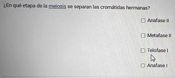 ¿En qué etapa de la meiosis se separan las cromátidas hermanas?
Anafase II
Metafase II
Telofase I
Anafase I