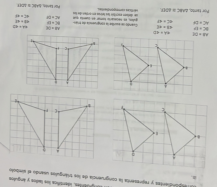 ngruentes, identífica los lados y ángulos 
. 
nrespondientes y representa la congruencia de los triángulos usando el símbolo
A
D
A 
B
E
C
C
F
B
A
D
B
E
c
F
AB=DE ∠ A=∠ D
AB=DE ∠ A=∠ D
BC=EF ∠ B=∠ E Cuando se escribe la congruencia de trián- BC=EF ∠ B=∠ E
AC=DF ∠ C=∠ F gulos, es necesario tomar en cuenta que AC=DF ∠ C=∠ F
se deben escríbir las letras en orden de los 
Por tanto, △ ABC≌ △ DEF. vértices correspondientes. Por tanto, △ ABC≌ △ DEF.