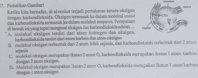 Perhatikan Gambar! Alveolus
Ketika kita bernafas, di alveolus terjadi pertukaran antara oksigen
dengan karbondioksida. Oksigen termasuk ke dalam molekul unsur
dan karbondioksida termasuk ke dalam molekul senyawa. Pernyataan
di bawah ini yang tepat mengenai oksigen dan karbondioksida adalah ....
A. molekul oksigen terdiri dari atom hidrogen dan oksigen,
karbondioksida terdiri dari atom karbon dan atom oksigen
B. molekul oksigen terbentuk dari 2 atom tidak sejenis, dan karbondioksida terbentuk dari 2 atom
sejenis
C. molekul oksigen merupakan ikatan 2 atom O, karbondioksida merupakan ikatan 1 atom karbon
dengan 2 atom oksigen.
D. Molekul oksigen merupakan ikatan 2 atom O, karbondioksida merupakan ikatan 1 atom karbon
dengan 1 atom oksigen