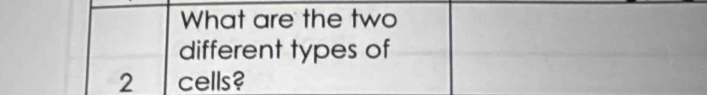 What are the two 
different types of
2cells?