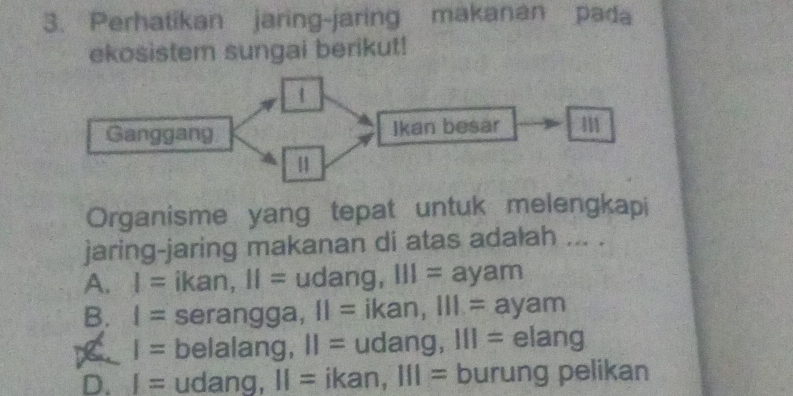 Perhatikan jaring-jaring makanan pada
ekosistem sungai berikut!
Organisme yang tepat untuk melengkapi
jaring-jaring makanan di atas adalah ... .
A. I= ikan, 11= udang, III=ayam
B. I= serangga, II=ikan, 111=ayam
I= belalang, II= udai 10 I_1 111=elang
D. I= udang, II= ikan, 111= burung pelikan