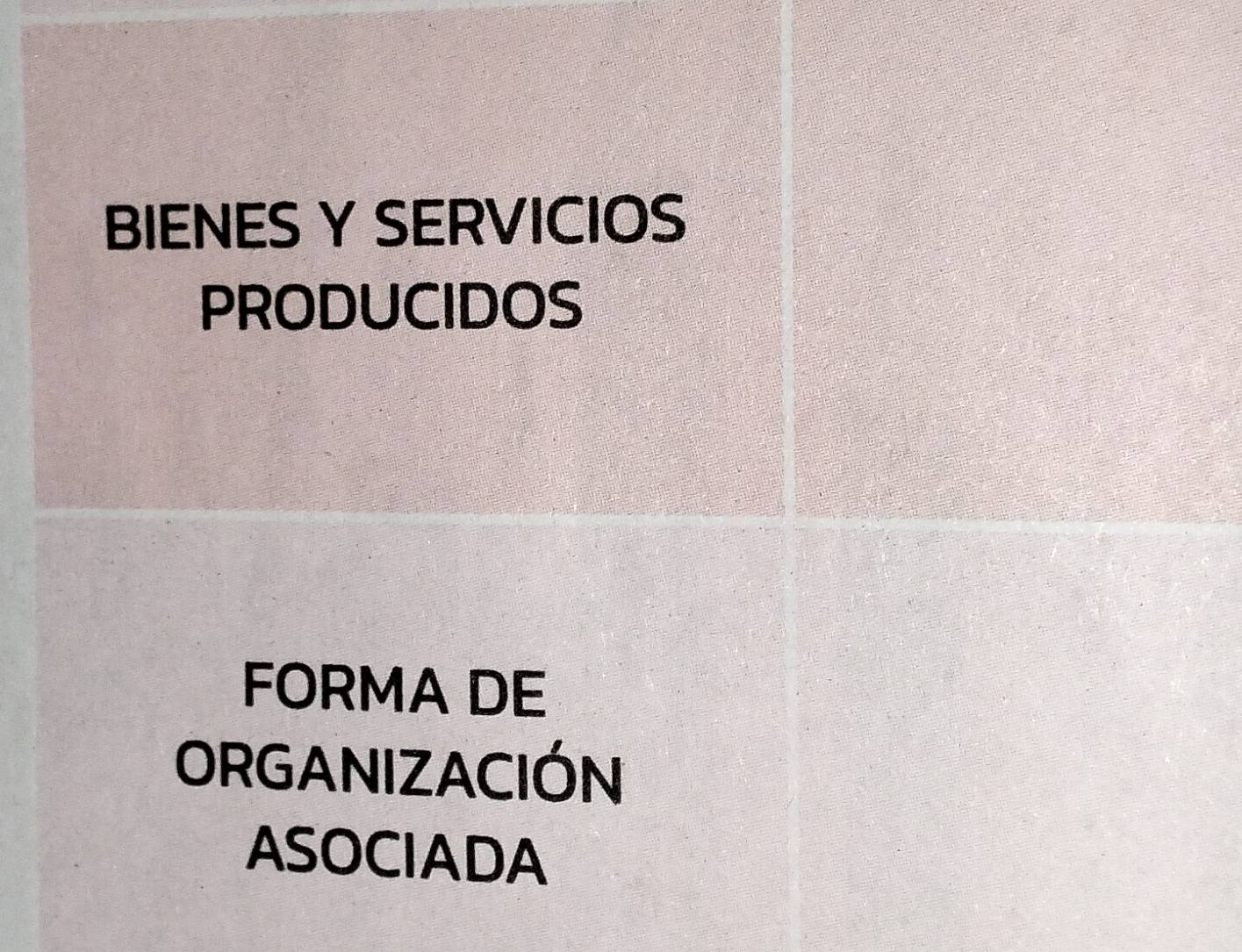 BIENES Y SERVICIOS 
PRODUCIDOS 
FORMA DE 
ORGANIZACIÓN 
ASOCIADA