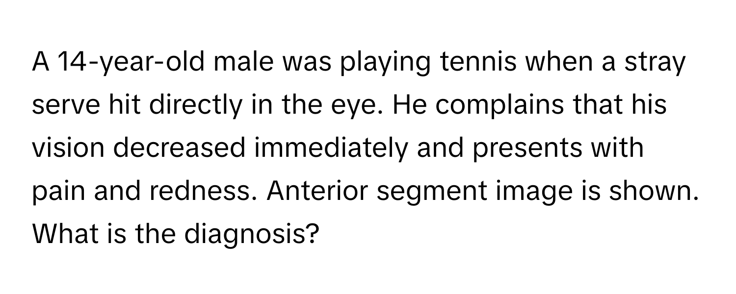 A 14-year-old male was playing tennis when a stray serve hit directly in the eye. He complains that his vision decreased immediately and presents with pain and redness. Anterior segment image is shown. What is the diagnosis?