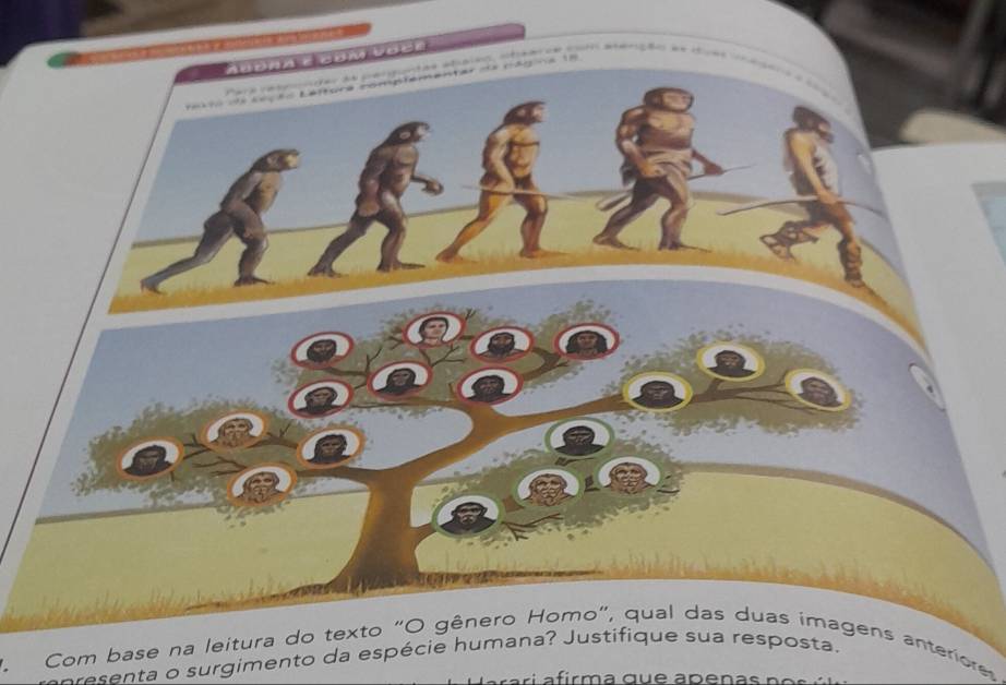 cor aerição e 
Com base na leitura do texto "O gênero Homo", qual das duas imagens anteriores 
esenta o surgimento da espécie humana? Justifique sua resposta.