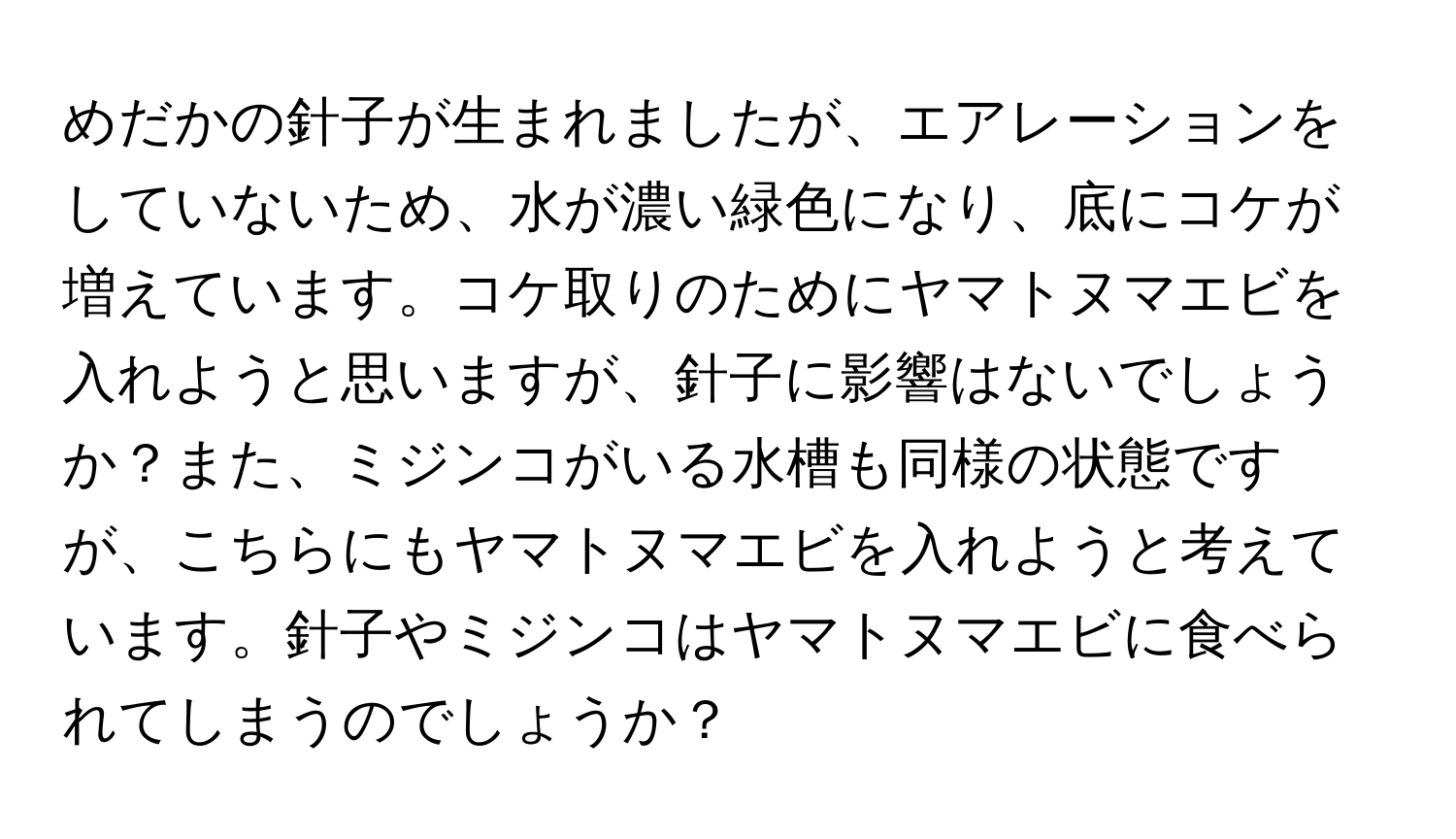 めだかの針子が生まれましたが、エアレーションをしていないため、水が濃い緑色になり、底にコケが増えています。コケ取りのためにヤマトヌマエビを入れようと思いますが、針子に影響はないでしょうか？また、ミジンコがいる水槽も同様の状態ですが、こちらにもヤマトヌマエビを入れようと考えています。針子やミジンコはヤマトヌマエビに食べられてしまうのでしょうか？