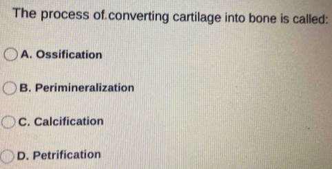 The process of converting cartilage into bone is called:
A. Ossification
B. Perimineralization
C. Calcification
D. Petrification