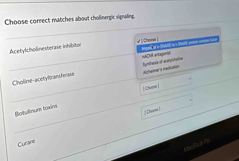 Choose correct matches about cholinergic signaling.
√[ Choose ]
Impailed v-SNARE to t-SNAIIE protein complies fus
Acetylcholinesterase inhibitor
nAChR antagonist
Alzheimer's medication
Choline-acetyltransferase Synthesis of acetylcholine
Botulinum toxins [ Choose ]
[ Choose ]
Curare
MecBook Pia