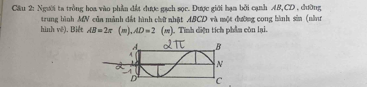 Người ta trồng hoa vào phần đất được gạch sọc. Được giới hạn bởi cạnh AB, CD , đường 
trung bình MN của mảnh dất hình chữ nhật ABCD và một đường cong hình sin (như 
hình vē). Biết AB=2π (m), AD=2 (m). Tính diện tích phần còn lại.
C