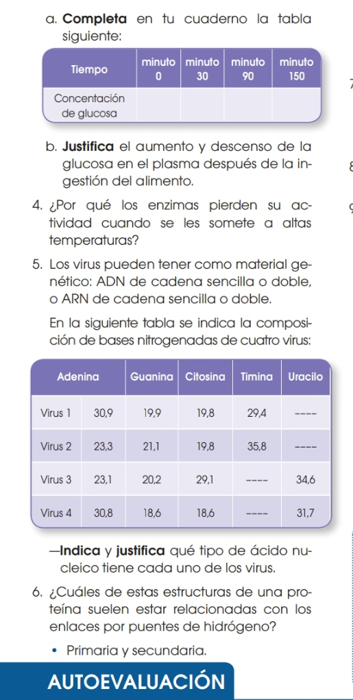 Completa en tu cuaderno la tabla
siguiente:
b. Justifica el aumento y descenso de la
glucosa en el plasma después de la in- 
gestión del alimento.
4. ¿Por qué los enzimas pierden su ac-
tividad cuando se les somete a altas 
temperaturas?
5. Los virus pueden tener como material ge-
nético: ADN de cadena sencilla o doble,
o ARN de cadena sencilla o doble.
En la siguiente tabla se indica la composi-
ción de bases nitrogenadas de cuatro virus:
=Indica y justifica qué tipo de ácido nu-
cleico tiene cada uno de los virus.
6. ¿Cuáles de estas estructuras de una pro-
teína suelen estar relacionadas con los
enlaces por puentes de hidrógeno?
Primaria y secundaria.
AUTOEVALUACIÓN