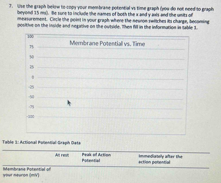 Solved: Use the graph below to copy your membrane potential vs time ...