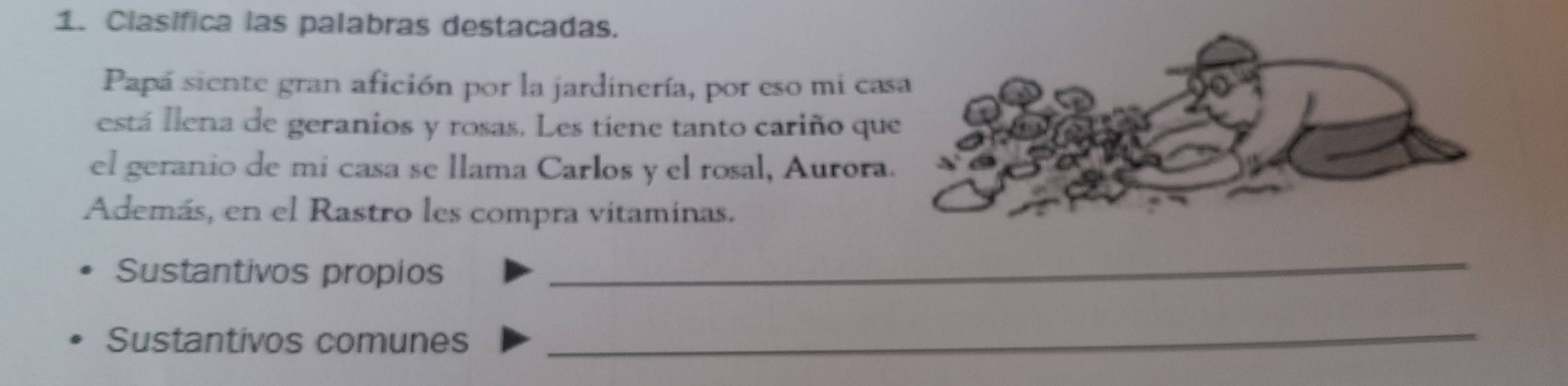 Clasífica las palabras destacadas. 
Papá siente gran afición por la jardinería, por eso mi ca 
está llena de geranios y rosas. Les tiene tanto cariño qu 
el geranio de mi casa se llama Carlos y el rosal, Aurora 
Además, en el Rastro les compra vitaminas. 
Sustantivos propios 
_ 
Sustantivos comunes 
_