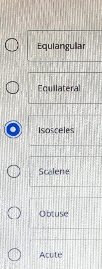 Equiangular
Equilateral
Isosceles
Scalene
Obtuse
Acute