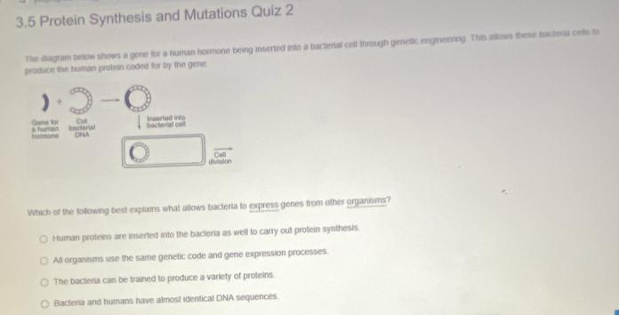 3.5 Protein Synthesis and Mutations Quiz 2
The diagram below shows a gene for a human hormone being inserted into a bacterial cell through genetic engineering. This allows these bacteria cells to
produce the human protein coded for by the gene
+
Gene for Cut bacterial coll Inserted into
hormone a human bactenal
DNA
division Coll
Which of the following best explains what allows bacteria to express genes from other organisms?
Human proteins are inserted into the bacteria as well to carry out protein synthesis.
All organisms use the same genetic code and gene expression processes.
The bacteria can be trained to produce a variety of proteins.
Bacteria and humans have almost identical DNA sequences.