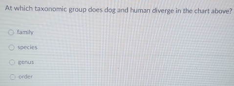 At which taxonomic group does dog and human diverge in the chart above?
family
species
genus
order