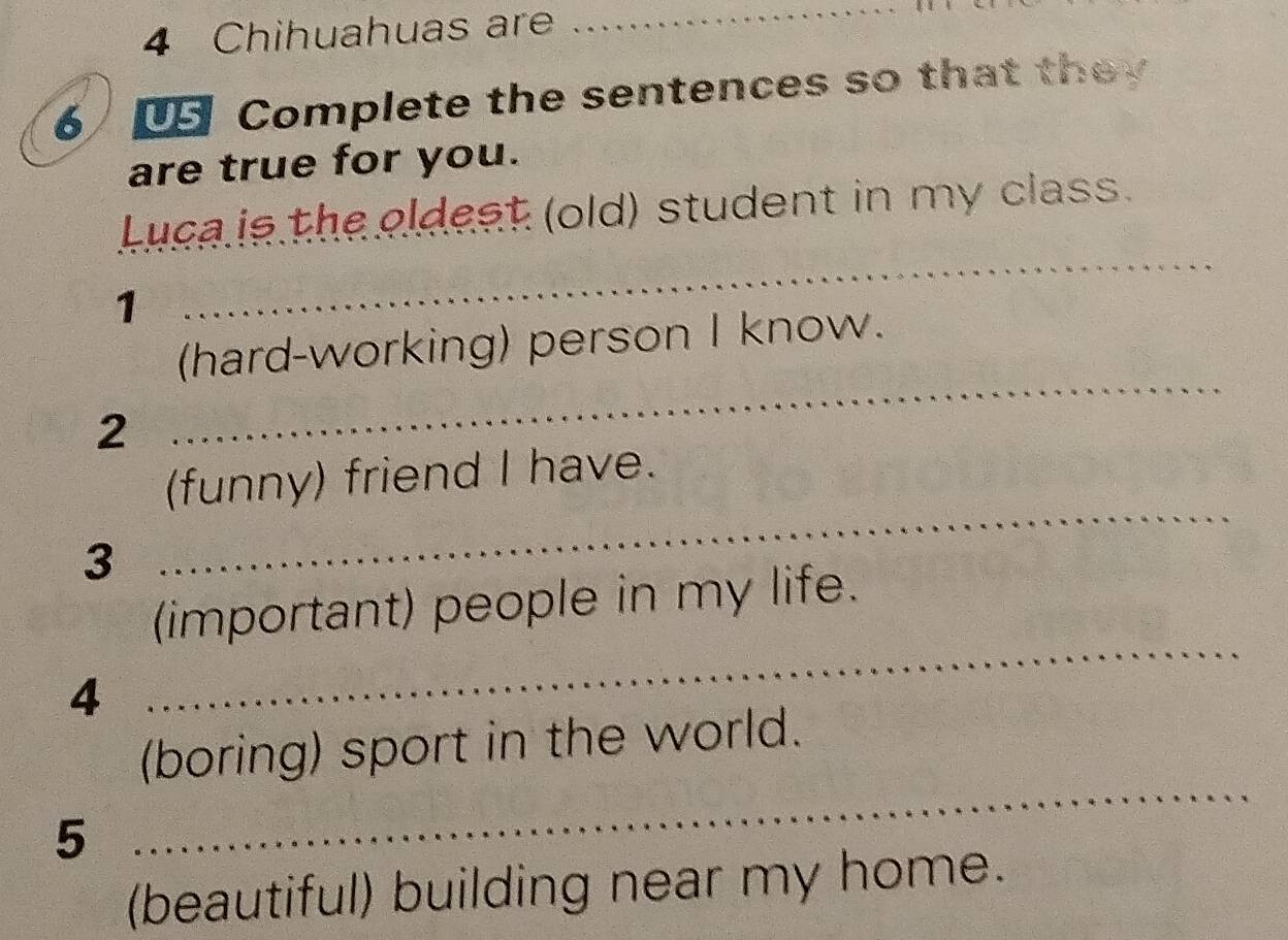 Complete The Sentences So That They Are True For You Risolto:Chihuahuas are _ 6 Complete the sentences so that they are true