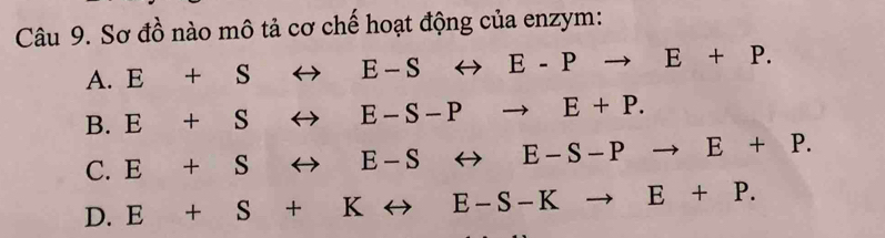 Sơ đồ nào mô tả cơ chế hoạt động của enzym:
A. E+$rightarrow E-Srightarrow E-Pto E+P.
B. E+Srightarrow E-S-Pto E+P.
C. E+$rightarrow E-Srightarrow E-S-Pto E+P.
D. E+S+Krightarrow E-S-Kto E+P.