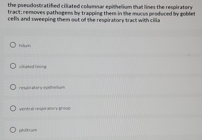 the pseudostratifed ciliated columnar epithelium that lines the respiratory
tract; removes pathogens by trapping them in the mucus produced by goblet
cells and sweeping them out of the respiratory tract with cilia
hilum
ciliated lining
respiratory epithelium
ventral respiratory group
philtrum