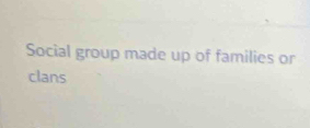 Social group made up of families or 
clans