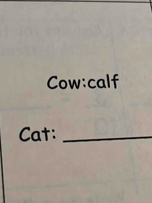 Cat:_