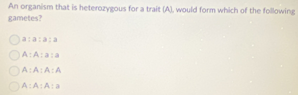 An organism that is heterozygous for a trait (A), would form which of the following
gametes?
a:a:a:a
A:A:a:a
A:A:A:A
A:A:A:a