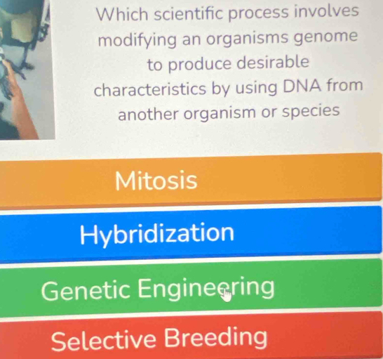 Which scientific process involves
modifying an organisms genome
to produce desirable
characteristics by using DNA from
another organism or species
Mitosis
Hybridization
Genetic Enginecring
Selective Breeding