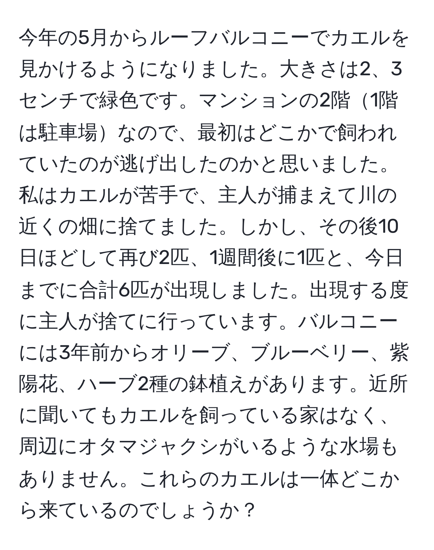 今年の5月からルーフバルコニーでカエルを見かけるようになりました。大きさは2、3センチで緑色です。マンションの2階1階は駐車場なので、最初はどこかで飼われていたのが逃げ出したのかと思いました。私はカエルが苦手で、主人が捕まえて川の近くの畑に捨てました。しかし、その後10日ほどして再び2匹、1週間後に1匹と、今日までに合計6匹が出現しました。出現する度に主人が捨てに行っています。バルコニーには3年前からオリーブ、ブルーベリー、紫陽花、ハーブ2種の鉢植えがあります。近所に聞いてもカエルを飼っている家はなく、周辺にオタマジャクシがいるような水場もありません。これらのカエルは一体どこから来ているのでしょうか？