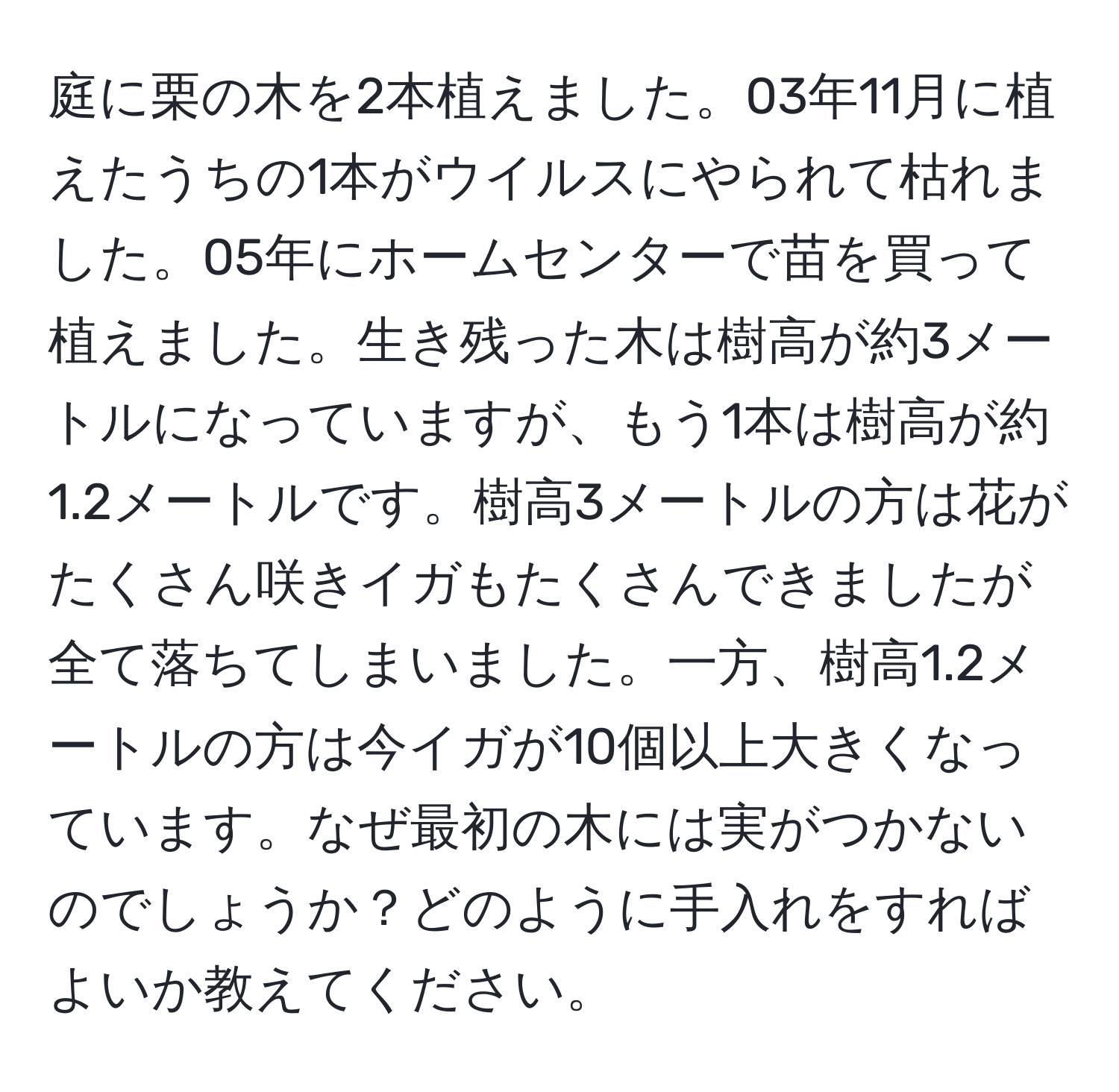 庭に栗の木を2本植えました。03年11月に植えたうちの1本がウイルスにやられて枯れました。05年にホームセンターで苗を買って植えました。生き残った木は樹高が約3メートルになっていますが、もう1本は樹高が約1.2メートルです。樹高3メートルの方は花がたくさん咲きイガもたくさんできましたが全て落ちてしまいました。一方、樹高1.2メートルの方は今イガが10個以上大きくなっています。なぜ最初の木には実がつかないのでしょうか？どのように手入れをすればよいか教えてください。