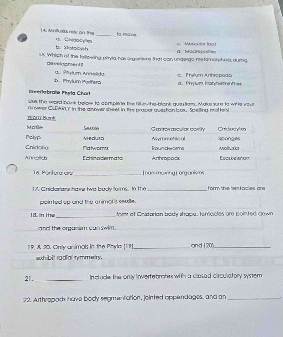 Mollusks rely on the _to move.
a. Cnidocytes
c. Muscular foot
b. Statocysts
d. Madreporites
15. Which of the following phyla has organisms that can undergo metamorphosis during
development?
a. Phylum Annelida c. Phylum Arthropoda
b. Phylum Porifera d. Phylum Platyhelminthes
Invertebrate Phyla Chart
Use the word bank below to complete the fill-In-the-blank questions. Make sure to write your
answer CLEARLY in the answer sheet in the proper question box. Spelling matters!
Word Bank
Motile Sessile Gastrovascular cavity Cnidocytes
Polyp Medusa Asymmetrical Sponges
Cnidaria Flatworms Roundworms Mollusks
Annelids Echinodermata Arthropods Exoskeleton
16. Porifera are _(non-moving) organisms.
17. Cnidarians have two body forms. In the_ form the tentacles are
pointed up and the animal is sessile.
18. In the_ form of Cnidarian body shape, tentacles are pointed down
and the organism can swim.
19. & 20. Only animals in the Phyla (19)_ and (20)_
exhibit radial symmetry.
21._
include the only invertebrates with a closed circulatory system
22. Arthropods have body segmentation, jointed appendages, and an_