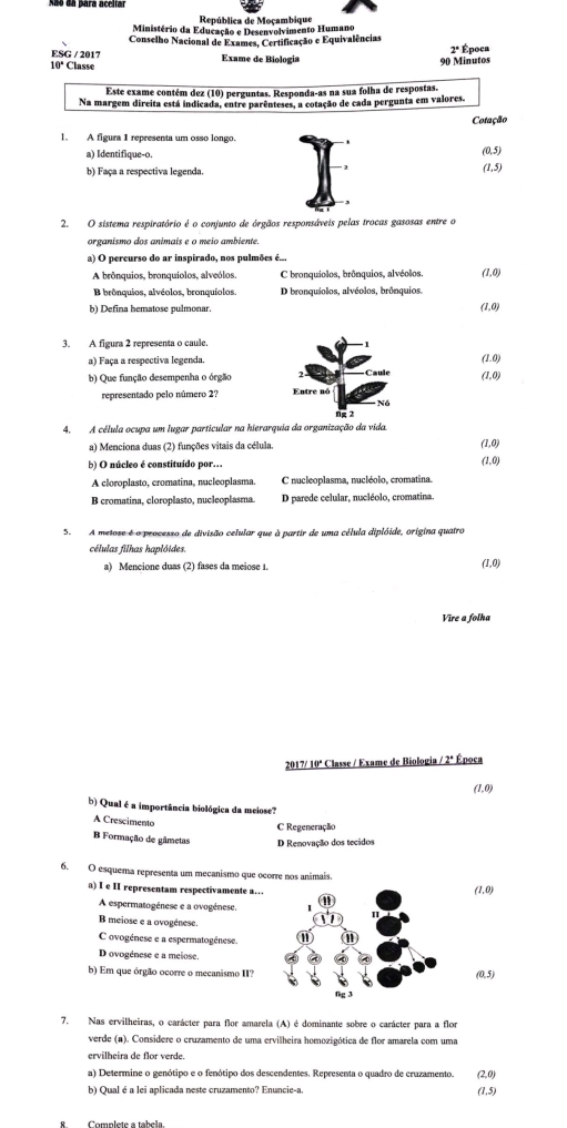 República de Moçambique
Ministério da Educação e Desenvolvimento Humano
Conselho Nacional de Exames, Certificação e Equivalências
2°
ESG / 2017 Época
10° Classe Exame de Biologia 90 Minutos
Este exame contém dez (10) perguntas. Responda-as na sua folha de respostas.
Na margem direita está indicada, entre parênteses, a cotação de cada pergunta em valores.
Cotação
1. A figura I representa um osso longo.
a) Identifique-o.
(0,5)
b) Faça a respectiva legenda.
(1,5)
2.O sistema respiratório é o conjunto de órgãos responsáveis pelas trocas gasosas entre o
organismo dos animais e o meio ambiente.
a) O percurso do ar inspirado, nos pulmões é...
A brônquios, bronquiolos, alveólos. C bronquiolos, brônquios, alvéolos, (1,0)
B brônquios, alvéolos, bronquíolos. D bronquíolos, alvéolos, brônquios.
b) Defina hematose pulmonar. (1,0)
3. A figura 2 representa o caule.
a) Faça a respectiva legenda.
(1,0)
b) Que função desempenha o órgão (1,0)
representado pelo número 2? 
4. A célula ocupa um lugar particular na hierarquia da organização da vida.
a) Menciona duas (2) funções vitais da célula (1,0)
b) O núcleo é constituído por...
(1,0,
A cloroplasto, cromatina, nucleoplasma. C nucleoplasma, nucléolo, cromatina.
B cromatina, cloroplasto, nucleoplasma D parede celular, nucléolo, cromatina.
5. A metose é o processo de divisão celular que à partir de uma célula diplóide, origina quatro
células filhas haplóides.
a) Mencione duas (2) fases da meiose 1. (1,0)
Vire a folha
2017/ 10ª Classe / Exame de Biologia 2° Época
(1,0)
b) Qual é a importância biológica da meiose?
A Crescimento
C Regeneração
Formação de gâmetas
6. O esquema representa um mecanismo que ocorre nos animais.
a) I e II representam respectivamente a… (1,0)
A espermatogénese e a ovogénese.
B meiose e a ovogénese
C ovogénese e a espermatogénese.
D ovogénese e a meiose.
b) Em que órgão ocorre o mecanismo II? (0,5)
7. Nas ervilheiras, o carácter para flor amarela (A) é dominante sobre o carácter para a flor
verde (a). Considere o cruzamento de uma ervilheira homozigótica de flor amarela com uma
ervilheira de flor verde.
a) Determine o genótipo e o fenótipo dos descendentes. Representa o quadro de cruzamento. (2,0
b) Qual é a lei aplicada neste cruzamento? Enuncie-a. (1,5)
Complete a tabela