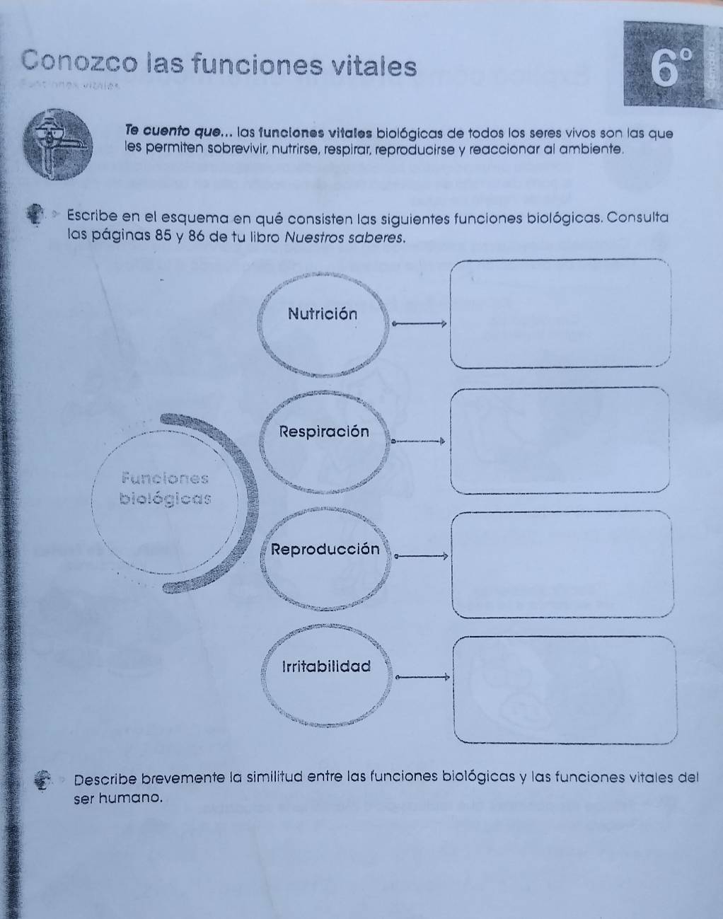 Conozco las funciones vitales
6°
Te cuento que... las funciones vitales biológicas de todos los seres vivos son las que 
les permiten sobrevivir, nutrirse, respirar, reproducirse y reaccionar al ambiente. 
Escribe en el esquema en qué consisten las siguientes funciones biológicas. Consulta 
las páginas 85 y 86 de tu libro Nuestros saberes. 
Describe brevemente la similitud entre las funciones biológicas y las funciones vitales del 
ser humano.