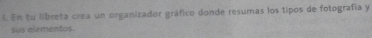 En tu libreta crea un organizador gráfico donde resumas los tipos de fotografía y 
sus elementos.