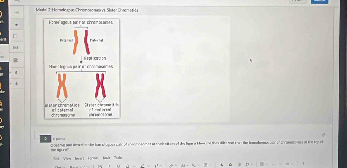 Model 2: Homologous Chromosomes vs. Sister Chromatids 
ard 
es
5
6
2 O points 
Observe and describe the homologous pair of chromosomes at the bottom of the figure. How are they different that the homologous pair of chromosomes at the top of 
the figure? 
Edit View Insert Format Tools Table 
25