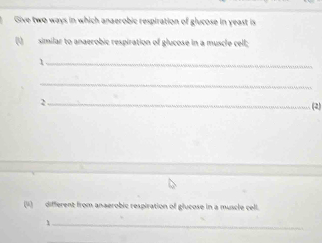 Give two ways in which anaerobic respiration of glucose in yeast is 
(1) similar to anaerobic respiration of glucose in a muscle cell; 
_1 
_ 
_2 
(2) 
(ii) different from anaerobic respiration of glucose in a muscle cell. 
_1