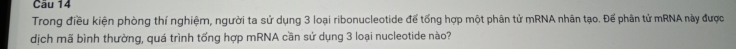 Trong điều kiện phòng thí nghiệm, người ta sử dụng 3 loại ribonucleotide để tổng hợp một phân tử mRNA nhân tạo. Để phân tử mRNA này được 
dịch mã bình thường, quá trình tổng hợp mRNA cần sử dụng 3 loại nucleotide nào?