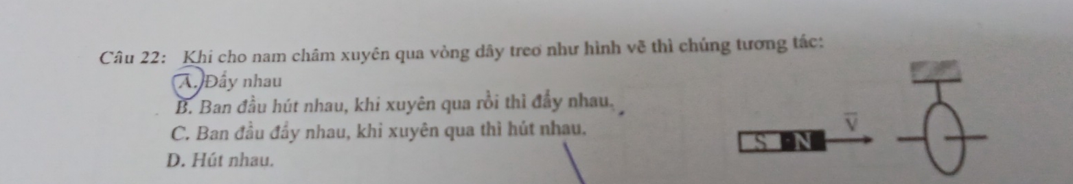 Khi cho nam châm xuyên qua vòng dây treo như hình về thì chúng tương tác:
A. Đẩy nhau
B. Ban đầu hút nhau, khi xuyên qua rồi thì đẩy nhau.
C. Ban đầu đẩy nhau, khi xuyên qua thì hút nhau.
overline V
S N
__
D. Hút nhau.