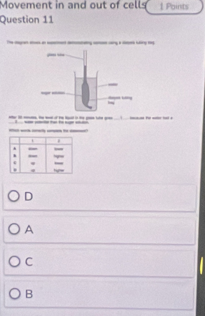 Movement in and out of cells 1 Points
Question 11
The dlegcam ascs ar _oe cang a ieed shing mg.
ner 30 mnsn, the kon of te ld in te go hate gom _i _lomcacon tat wanter tas a
Z eutn autecler tan Eie tuger säkälees
Wthich worchs coometly comsions ther chameent?
D
A
C
B