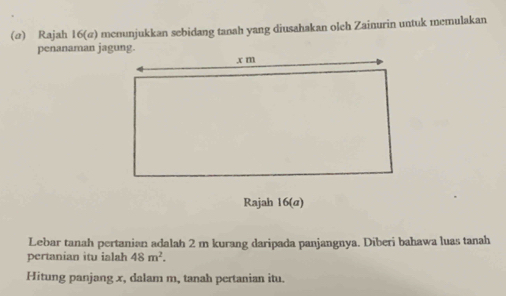 (@) Rajah 16(@) menunjukkan sebidang tanah yang diusahakan oleh Zainurin untuk memulakan 
penanaman jagung. 
Rajah 16(a) 
Lebar tanah pertanian adalah 2 m kurang daripada panjangnya. Diberi bahawa luas tanah 
pertanian itu ialah 48m^2. 
Hitung panjang x, dalam m, tanah pertanian itu.