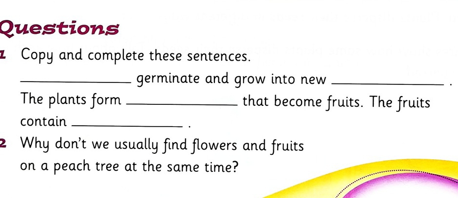 Copy and complete these sentences. 
_germinate and grow into new_ 
The plants form _that become fruits. The fruits 
contain_ 
2 Why don't we usually find flowers and fruits 
on a peach tree at the same time?