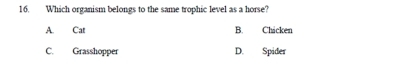 Which organism belongs to the same trophic level as a horse?
A. Cat B. Chicken
C. Grasshopper D. Spider