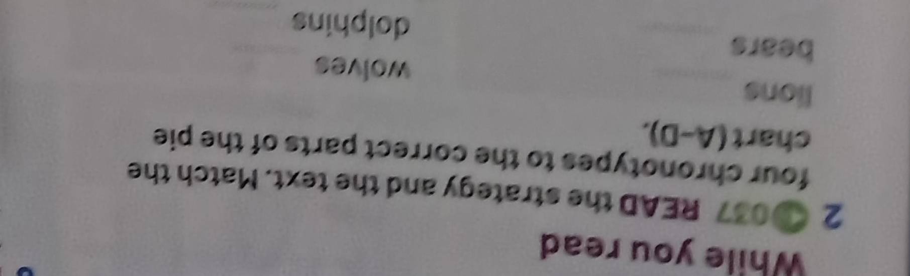 While you read 
2 037 READ the strategy and the text. Match the 
four chronotypes to the correct parts of the pie 
chart (A-D). 
_ 
lions 
wolves 
_ 
bears 
_ 
dolphins_