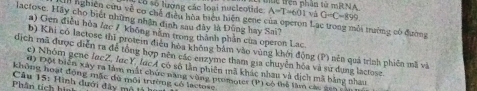 Có số lượng các loại nucleotide Tc trên phần từ mRNA A=T-601 và G-C-899
lactose. Hảy cho biết những nhân định sau đây là Đùng hay Sai? 
II nghiên cứu về cơ chế điều hòa biệu hiện gene của operon Lạc trong mỗi trường có đường 
) Gen điễu hòa lạc 7 Không năm trong thành phần của operon Lạc 
b) Khi có lactose thi protem điều hòa không bám vào vùng khởi động (P) nền quả trình phiên mã và 
dịch mã được diễn ra để tổng hợp nên các enzyme tham gia chuyển hóa và sử dụng lactose. 
e) Nhóm gene (ucZ, lucY, luc4 có số tần phiên mã khác nhan và địch mã bằng nhau 
đ) Đột biển xây ra làm mất chức năng vùng nromoter (P) có thể làm các sch 
không hoạt động mặc dù môi trường có lactowe 
Phần tích hình Câu 15: Hình dưới đây mô tả hữn