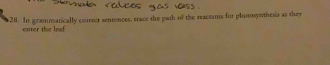 In grammatically correct sentences, trace the path of the reactants for photosynthesis as they 
enter the leaf