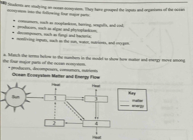 160 Students are studying an ocean ecosystem. They have grouped the inputs and organisms of the ocean 
ecosystem into the following four major parts: 
consumers, such as zooplankton, herring, seagulls, and cod; 
producers, such as algae and phytoplankton; 
decomposers, such as fungi and bacteria; 
nonliving inputs, such as the sun, water, nutrients, and oxygen. 
a. Match the terms below to the numbers in the model to show how matter and energy move among 
the four major parts of the ocean ecosystem. 
prodcers, decomposers, consumers, nutrients 
Ocean Ecosystem Matter and Energy Flow 
Key 
matter 
_ 
energy 
Heat