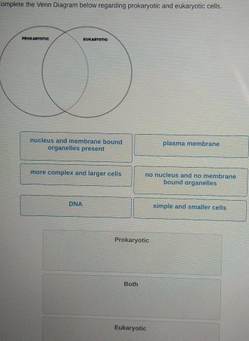 complete the Venn Diagram below regarding prokaryotic and eukaryotic cells.
nucleus and membrane bound plasma membrane
organelles present
more complex and larger cells no nucleus and no membrane
bound organelles
DNA simple and smaller cells
Prokaryotic
Both
Eukaryotic