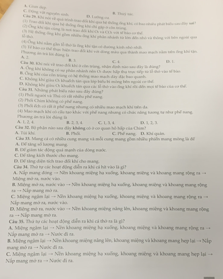 A. Giun dẹp.
B. Thuỷ tức.
C. Động vật nguyên sinh. D. Lưỡng cư.
Câu 29, Khi nội về quá trình trao đối khí qua hệ thống ống khí, có bao nhiêu phát biểu sau đây sai?
(1) Trao đối khí qua hệ thống ống khí chỉ gặp ở côn trùng.
(2) Ông khi tận cùng là nơi trao đõi khí O: và CO: với tế bào cơ thể.
(3) Hệ thống ống khí gồm nhiều ống khí phân nhánh từ lớn đến nhỏ và thông với bên ngoài qua
lỗ thờ.
(4) Ống khí nằm gần lỗ thớ là ống khí tận có đường kính nhỏ nhất.
(5) Tế bào cơ thể thực hiện trao đổi khí với dòng máu qua thành mao mạch nằm trên ống khí tận.
Phương án trả lời đủng là
A. 2.
B. 3. C. 4. D. 1.
Câu 30. Khi nói về trao đối khí ở côn trùng, nhận định nào sau đây là đúng?
A. Ông khí không có sự phân nhánh nên O: được hấp thu trực tiếp từ lỗ thờ vào tế bào.
B. Ông khi của côn trùng có hệ thống mao mạch dày đặc bao quanh.
C. Không khí giàu O₂ khuếch tán qua lớp biểu bì mông bên ngoài cơ thể.
D. Không khí giàu O₂ khuếch tán qua các lỗ thở vào ống khí rồi đến mọi tế bào của cơ thể.
Câu 31. Những phát biểu nào sau đây đúng?
(1) Phối người và Thú có rất nhiều phế nang.
(2) Phối Chim không có phế nang.
(3) Phối ếch có rất ít phế nang nhưng có nhiều mao mạch khí trên da.
(4) Mao mạch khí có cấu tạo khác với phế nang nhưng có chức năng tương tự như phế nang.
Phương án trá lời đúng là
A. 1, 2, 4. B. 2, 3, 4. C. 1, 3, 4. D. 1, 2, 3.
Câu 32. Bộ phận nào sau dây không có ở cơ quan hô hấp của Chim?
A. Túi khí. B. Phối. C. Phế nang. D. Khí quản.
Câu 33. Mang cá có nhiều cung mang và mỗi cung mang gồm nhiều phiến mang mỏng là để
A. Để tăng số lượng mang.
B. Để giảm tác dộng quá mạnh của dòng nước.
C. Để tăng kích thước cho mang.
D. Để tăng diện tích trao đối khí cho mang.
Câu 34. Thứ tự các hoạt động diễn ra khi cá hít vào là gì?
A. Nắp mang đóng → Nền khoang miệng hạ xuống, khoang miệng và khoang mang rộng ra
Miệng mở ra, nước vào.
B. Miệng mớ ra, nước vào → Nền khoang miệng hạ xuống, khoang miệng và khoang mang rộng
ra → Nắp mang mở ra.
C. Miệng ngậm lại → Nền khoang miệng hạ xuống, khoang miệng và khoang mang rộng ra →
Nắp mang mở ra, nước vào.
D. Miệng mở ra, nước vào → Nền khoang miệng nâng lên, khoang miệng và khoang mang rộng
ra → Nắp mang mở ra.
Câu 35. Thứ tự các hoạt động diễn ra khi cá thở ra là gì?
A. Miệng ngậm lại → Nền khoang miệng hạ xuống, khoang miệng và khoang mang rộng ra →
Nấp mang mở ra → Nước đi ra.
B. Miệng ngậm lại → Nền khoang miệng nâng lên, khoang miệng và khoang mang hẹp lại → Nắp
mang mở ra → Nước đi ra.
C. Miệng ngậm lại → Nền khoang miệng hạ xuống, khoang miệng và khoang mang hẹp lại
Nắp mang mở ra → Nước di ra.