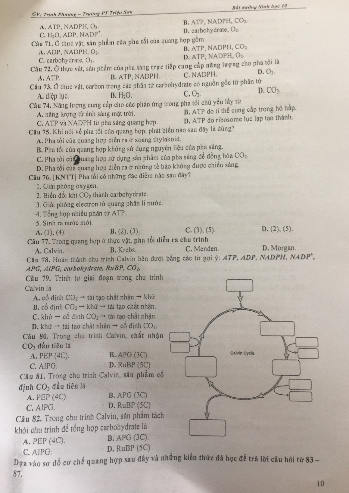 GV: Trịnh Phương - Trường PT Triệu Sơn Bồi dưỡng Sinh học 10
A. ATP, NADPH, O_2 B. ATP, NADPH, CO_2
C. H_2O , ADP, NA DP^+ D. carbohydrate, O_2.
Câu 71. Ở thực vật, sân phẩm của pha tối của quang hợp gồm
A. ADP. NADPH,O_2 B. ATP, NAI OPH,CO_2.
D. / ATP,NADPH,O_2.
C. carbohydrate, O_2.
Câu 72. Ở thực vật, sản phẩm của pha sáng trực tiếp cung cấp năng lượng cho pha tổi là
A. ATP B. ATI P, NADPH. C. NADPH.
D. O_2.
Câu 73. Ở thực vật, carbon trong các phân tử carbohydrate có nguồn gốc từ phân tử
C.
A. diệp lục. B. H_2O. O_2.
D. CO_2.
Câu 74. Năng lượng cung cấp cho các phản ứng trong pha tối chủ yểu lấy từ
A. năng lượng từ ánh sáng mặt trời. B. ATP do ti thể cung cấp trong hô hấp.
C. ATP và NADPH từ pha sáng quang hợp. D. ATP do ribosome lục lạp tạo thành.
Câu 75. Khi nói về pha tối của quang hợp, phát biểu nào sau đây là đúng?
A. Pha tối của quang hợp diễn ra ở xoang thylakoid.
B. Pha tối của quang hợp không sử dụng nguyên liệu của pha sáng.
C. Pha tối của Quang hợp sử dụng sản phẩm của pha sáng đề đồng hóa CO_2.
D. Pha tối của quang hợp diễn ra ở những tế bào không được chiếu sáng.
Câu 76. [KNTT] Pha tối có những đặc điểm nào sau đây?
1. Giải phóng oxygen.
2. Biến đồi khí CO_2 thành carbohydrate.
3. Giải phóng electron từ quang phân li nước.
4. Tổng hợp nhiều phân tử ATP.
5. Sinh ra nước mới.
C. (3), (5).
D.
A. (1), (4). B. (2), (3). (2),(5).
Câu 77. Trong quang hợp ở thực vật, pha tối diễn ra chu trình
A. Calvin. B. Krebs.
C. Menden. D. Morgan.
Câu 78. Hoàn thành chu trình Calvin bên dưới bằng các từ gợi ý: ATP, ADP, NADPH, NADP^+,
APG,AlPG , carbohydrate, RuBP,CO_2.
Câu 79. Trình tự giai đoạn trong chu trình
Calvin là
A. cố định CO_2 → tái tạo chất nhận → khử
B. cố định CO_2to khử → tái tạo chất nhận.
C. khirto cố định CO_2^((mu) tái tạo chất nhận.
D. khử → tái tạo chất nhận → cố định CO_2).
Câu 80. Trong chu trình Calvin, chất nhận
CO_2 đầu tiên là
A. PEP (4C). B. APG(3C).
C. AlPG. D. l RuBF (5C)
Câu 81. Trong chu trình Calvin, săn phẩm cố
định CO_2 đầu tiên là
A. PEP(4C). B. AF G (3 C)
C. AIPG. D. RuBP (5C)
Câu 82. Trong chu trình Calvin, sản phẩm tách
khỏi chu trình để tổng hợp carbohydrate là
A. PEP (4C). B. APG (3C).
D. Ru
C. AlPG. BP (5C)
Dựa vào sơ đồ cơ chế quang hợp sau đây và những kiến thức đã học đễ trã lời câu hõi từ 83 
87.
10