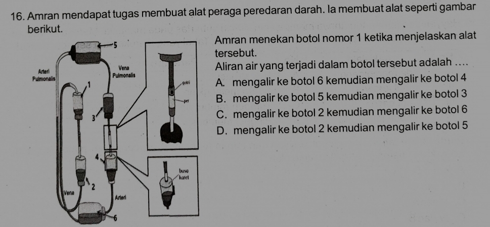 Amran mendapat tugas membuat alat peraga peredaran darah. Ia membuat alat seperti gambar
berikut.
Amran menekan botol nomor 1 ketika menjelaskan alat
tersebut.
Aliran air yang terjadi dalam botol tersebut adalah ...
A. mengalir ke botol 6 kemudian mengalir ke botol 4
B. mengalir ke botol 5 kemudian mengalir ke botol 3
C. mengalir ke botol 2 kemudian mengalir ke botol 6
D. mengalir ke botol 2 kemudian mengalir ke botol 5