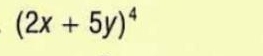 (2x+5y)^4