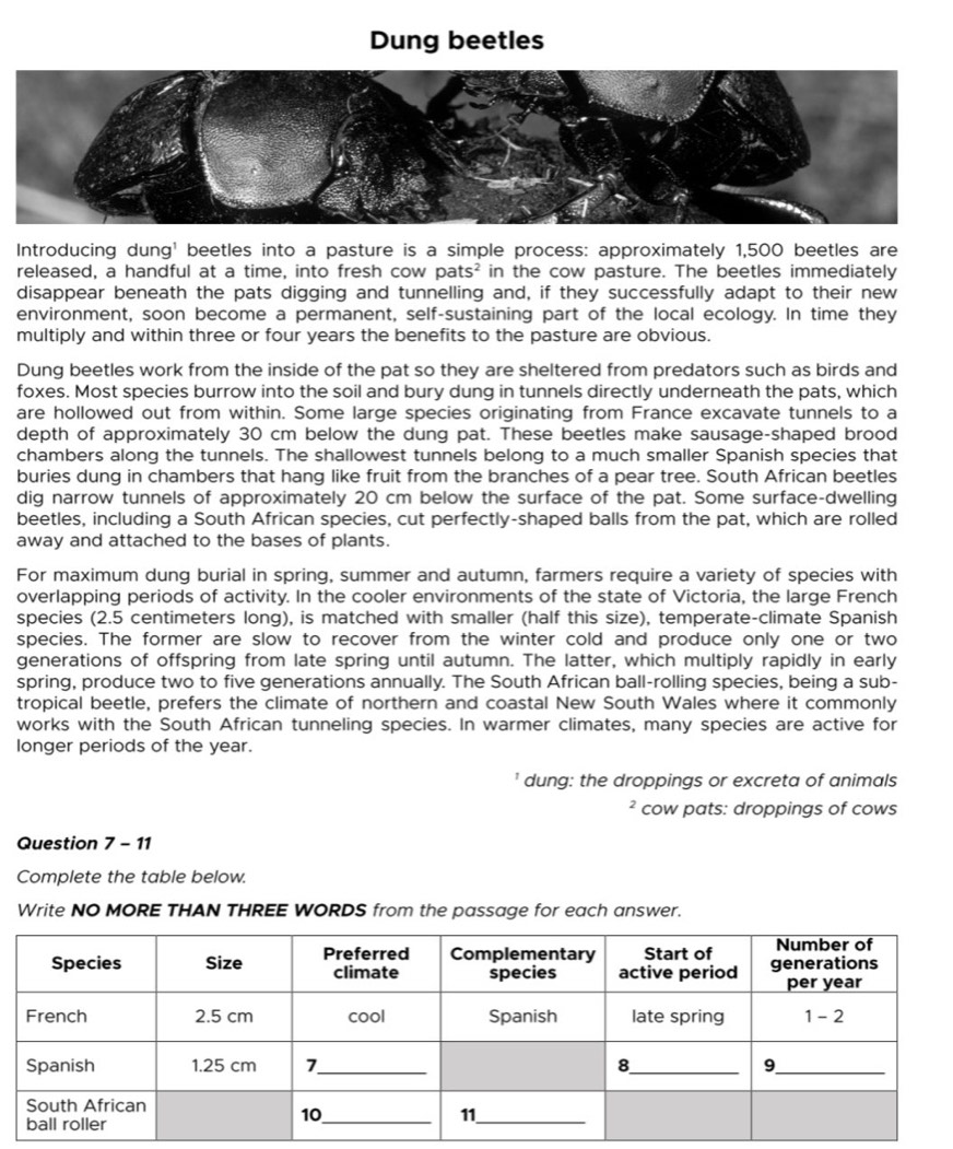 Dung beetles
Introducing dung' beetles into a pasture is a simple process: approximately 1,500 beetles are
released, a handful at a time, into fresh cow pats² in the cow pasture. The beetles immediately
disappear beneath the pats digging and tunnelling and, if they successfully adapt to their new
environment, soon become a permanent, self-sustaining part of the local ecology. In time they
multiply and within three or four years the benefits to the pasture are obvious.
Dung beetles work from the inside of the pat so they are sheltered from predators such as birds and
foxes. Most species burrow into the soil and bury dung in tunnels directly underneath the pats, which
are hollowed out from within. Some large species originating from France excavate tunnels to a
depth of approximately 30 cm below the dung pat. These beetles make sausage-shaped brood
chambers along the tunnels. The shallowest tunnels belong to a much smaller Spanish species that
buries dung in chambers that hang like fruit from the branches of a pear tree. South African beetles
dig narrow tunnels of approximately 20 cm below the surface of the pat. Some surface-dwelling
beetles, including a South African species, cut perfectly-shaped balls from the pat, which are rolled
away and attached to the bases of plants.
For maximum dung burial in spring, summer and autumn, farmers require a variety of species with
overlapping periods of activity. In the cooler environments of the state of Victoria, the large French
species (2.5 centimeters long), is matched with smaller (half this size), temperate-climate Spanish
species. The former are slow to recover from the winter cold and produce only one or two
generations of offspring from late spring until autumn. The latter, which multiply rapidly in early
spring, produce two to five generations annually. The South African ball-rolling species, being a sub-
tropical beetle, prefers the climate of northern and coastal New South Wales where it commonly
works with the South African tunneling species. In warmer climates, many species are active for
longer periods of the year.
dung: the droppings or excreta of animals
² cow pats: droppings of cows
Question 7 - 11
Complete the table below.
Write NO MORE THAN THREE WORDS from the passage for each answer.